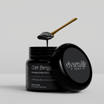 Core Energy Himalayan Shilajit Resin 20gm