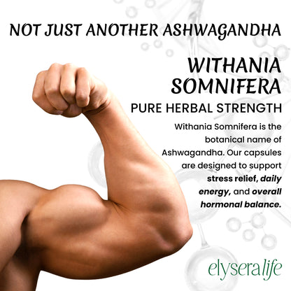 Calm Clarity Ashwagandha 60 Capsules