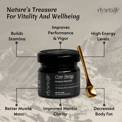 Core Energy Himalayan Shilajit Resin 20gm