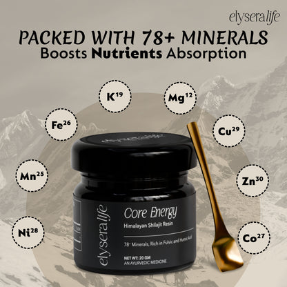 Core Energy Himalayan Shilajit Resin 20gm