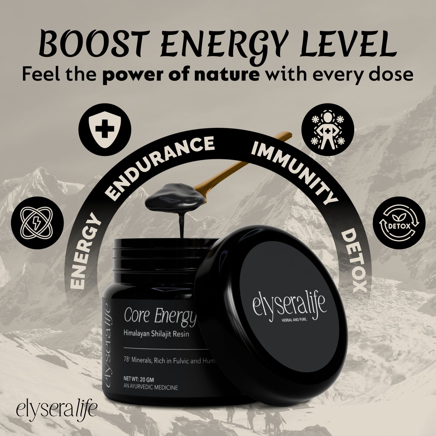 Core Energy Himalayan Shilajit Resin 20gm