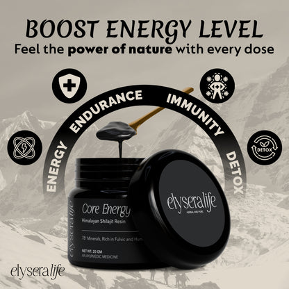 Core Energy Himalayan Shilajit Resin 20gm