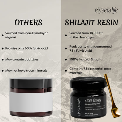 Core Energy Himalayan Shilajit Resin 20gm